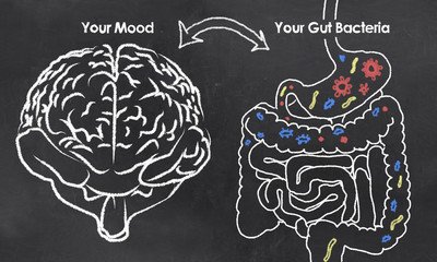 Your+Mood+ +VS+ +Your+Gut+Bacteria